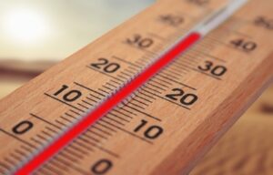 Could home temperatures influence brain function? Researchers probe